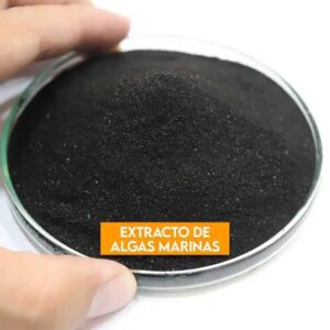 extracto de algas marinas